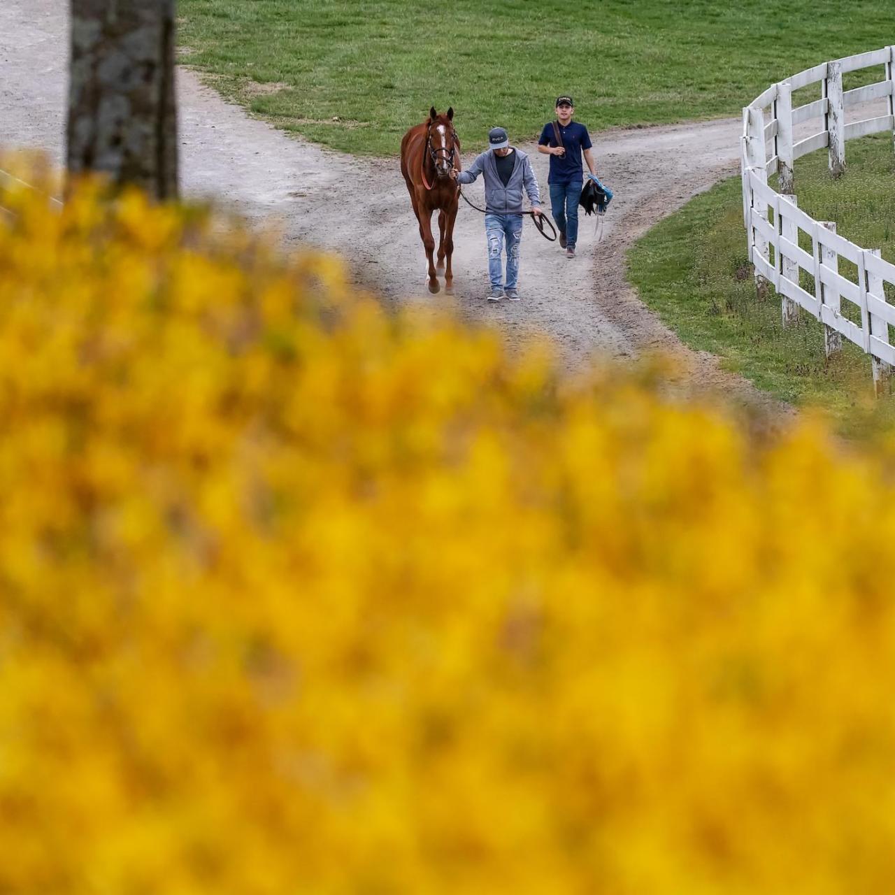 Shipping and Stabling Keeneland